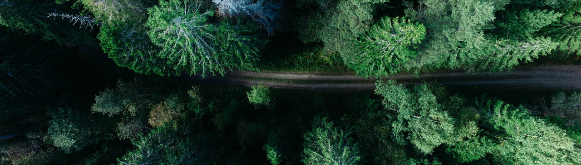 geran-de-klerk-WJkc3xZjSXw-unsplash