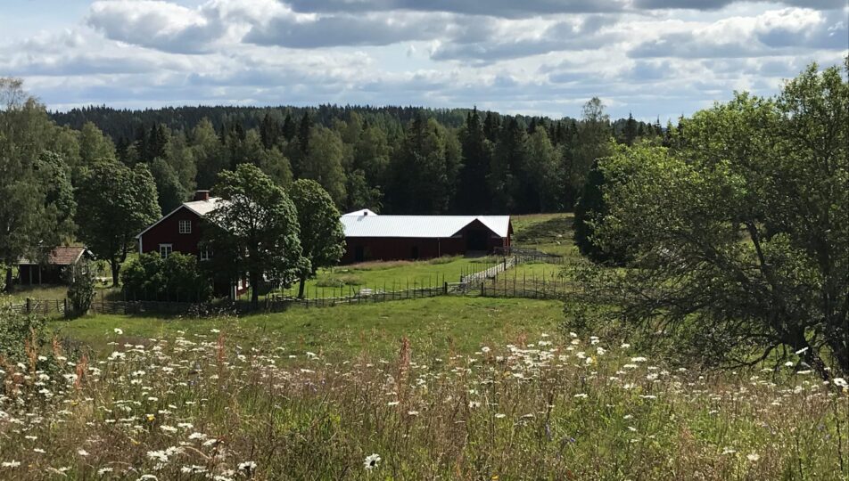 Gården vid Tiskaretjärn