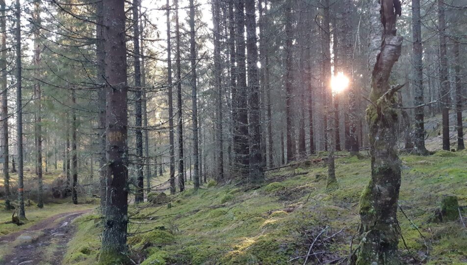 Grinnbergsstigen_Marita