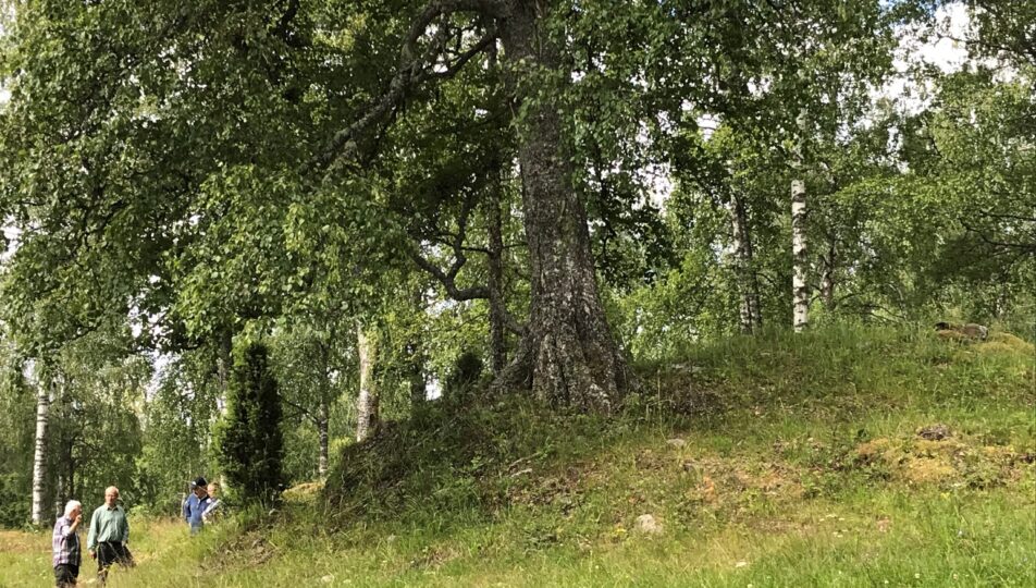 Tiskaretjärn naturreservat
