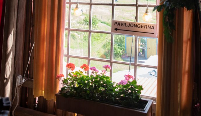 alma-lov-pelargoner-standard