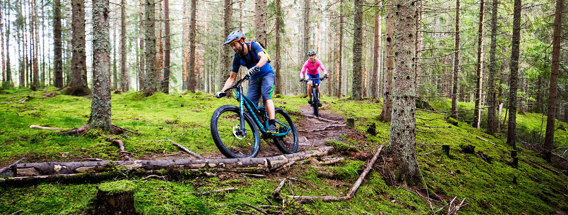 mtb-stig-kurva-standard