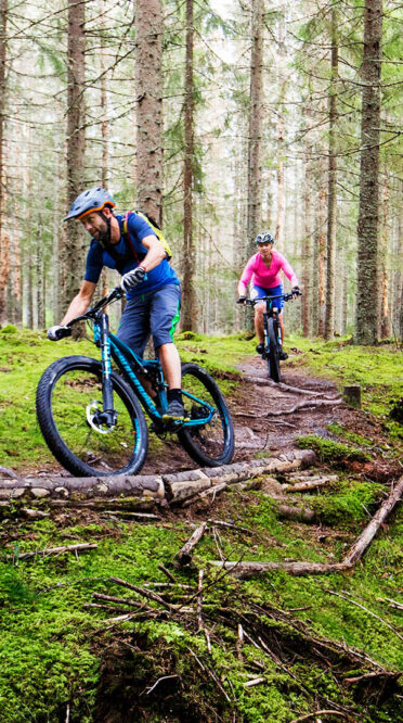 mtb-stig-kurva-standard