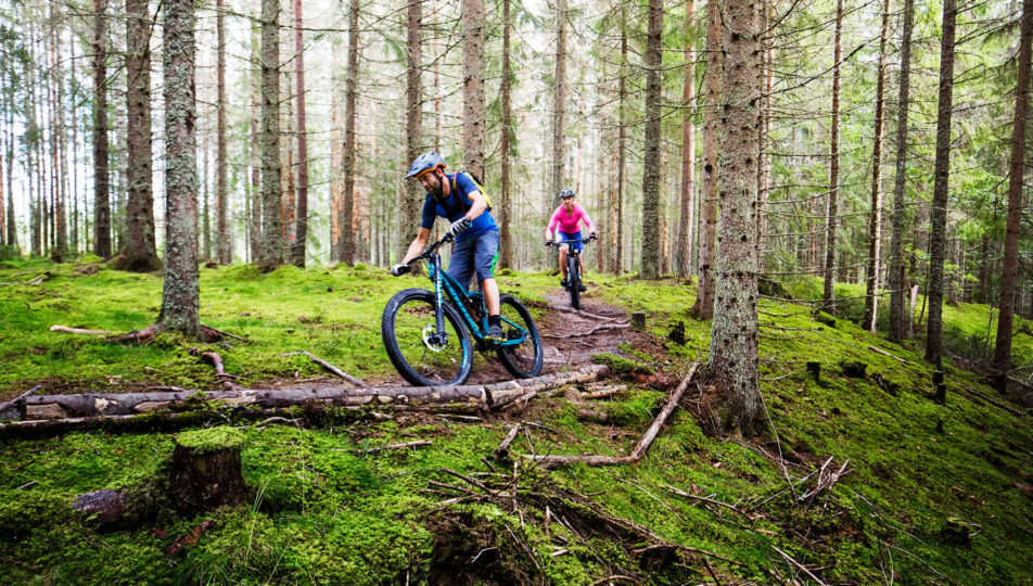 mtb-stig-kurva-standard