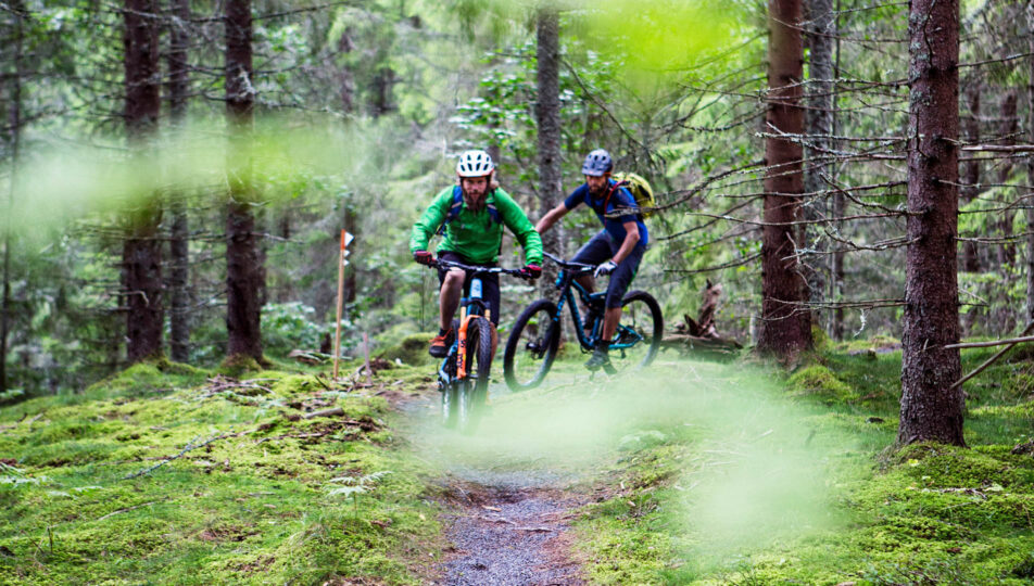 mtb-sundsberg-genom-lov-standard