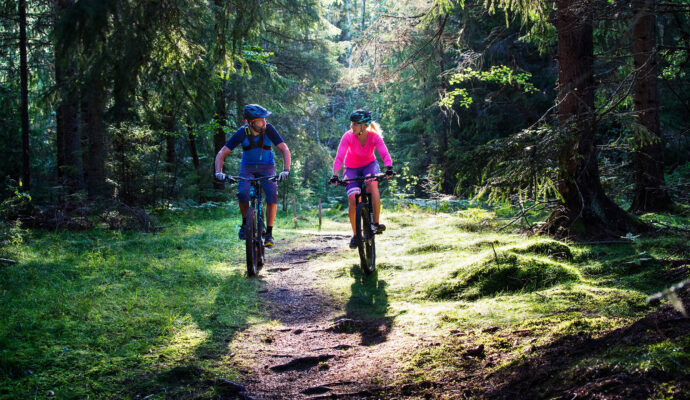mtb-trollskog-ljus-storbild