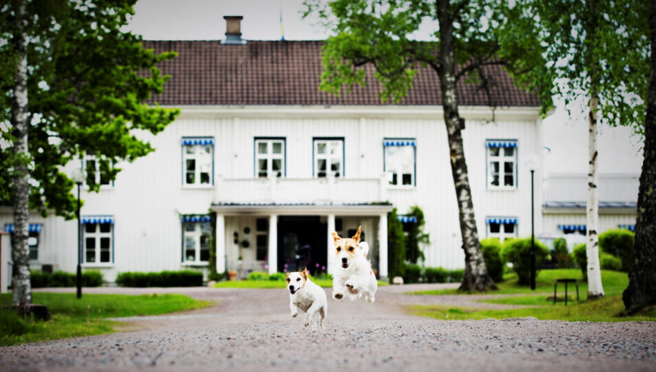 standard_kulturpaketet_vandringspaket_ulvsbyherrgard