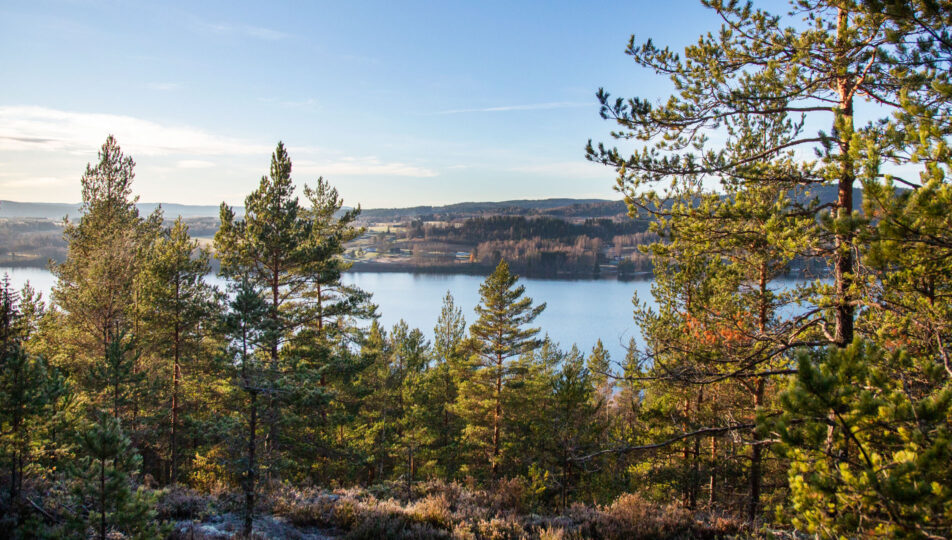 vandring-askerudsberget-standard