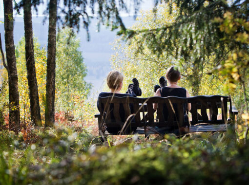 vandring-bank-standard