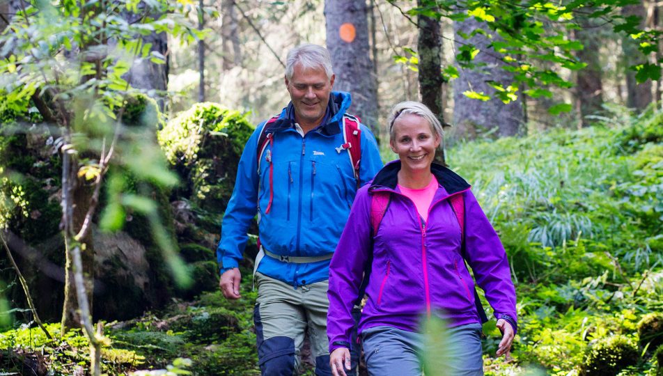 vandring-par-standard