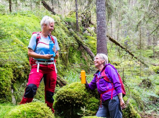 vandring-paus-standard