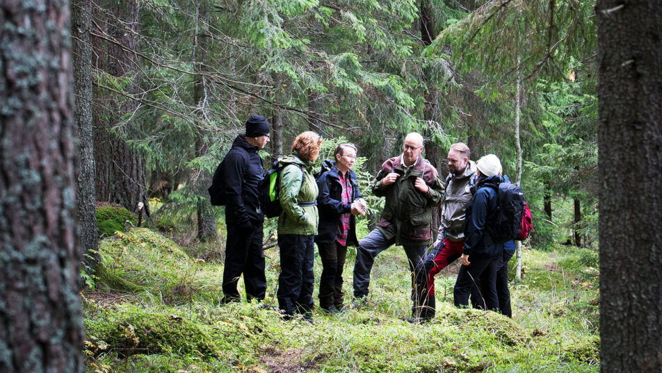 vandring-samling-standard