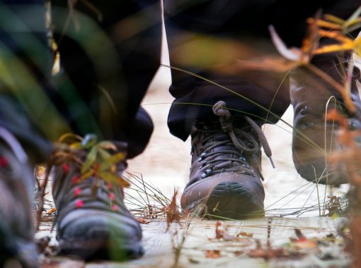 vandring-skor-standard