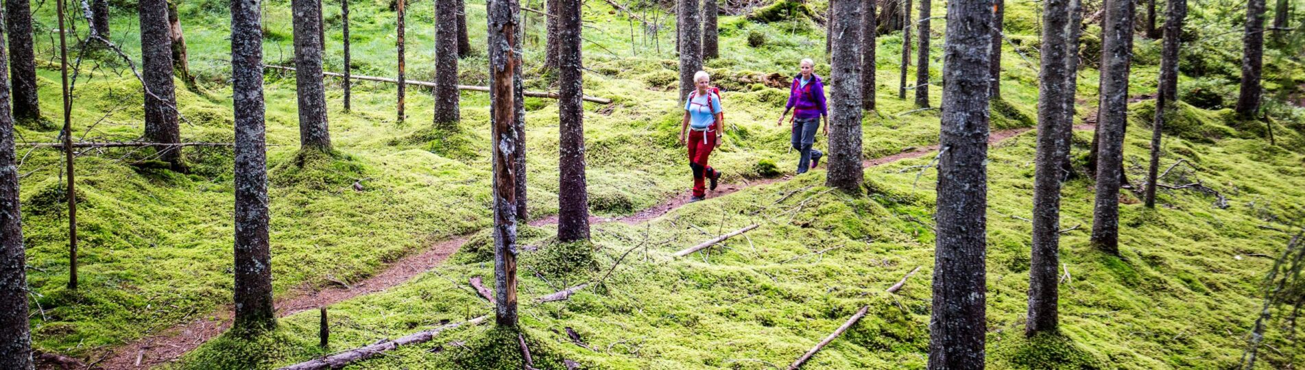 vandring-stammar-helbreddspuff