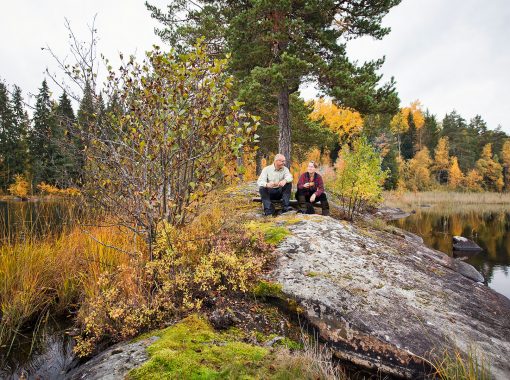 vandring-stenhall-standard