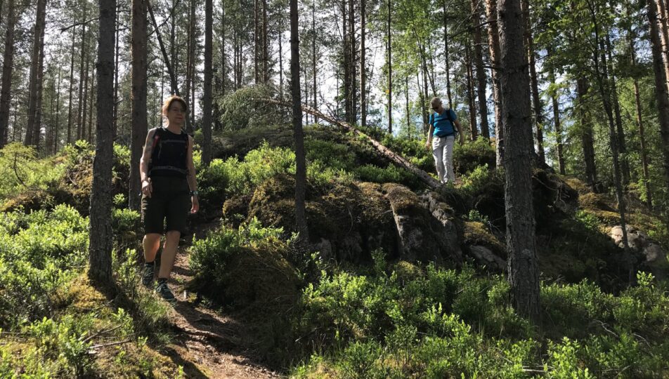 Dolpstigen