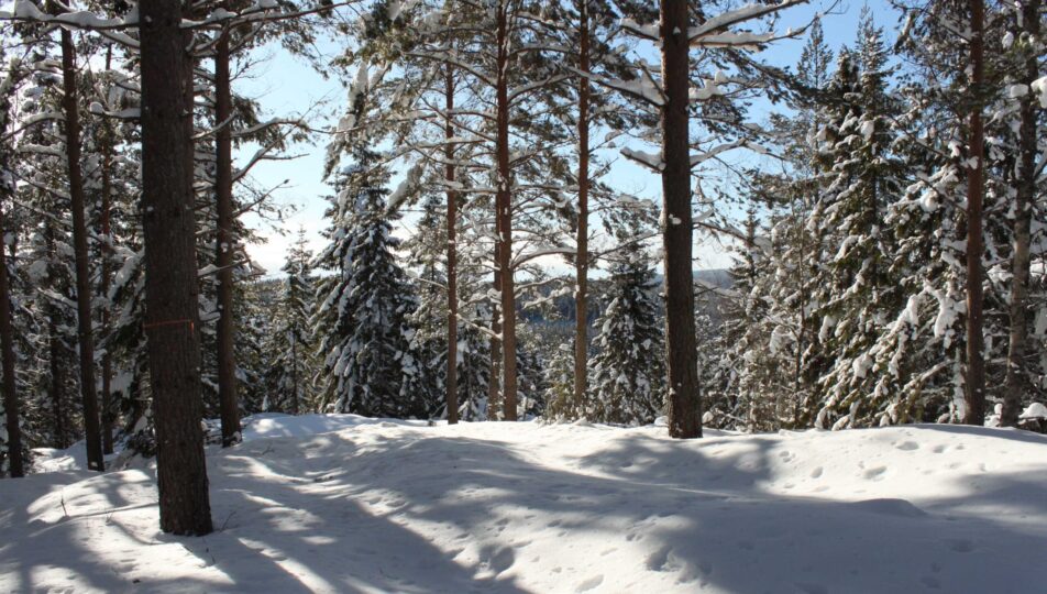 220602_finnsjonsvandringsled_05