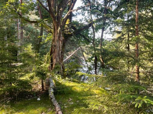 240814_deltaleden_02