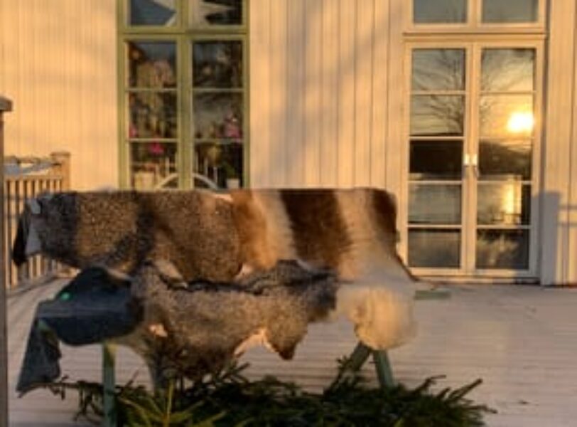 Bild till evenamnget Adventsöppet glasscafé